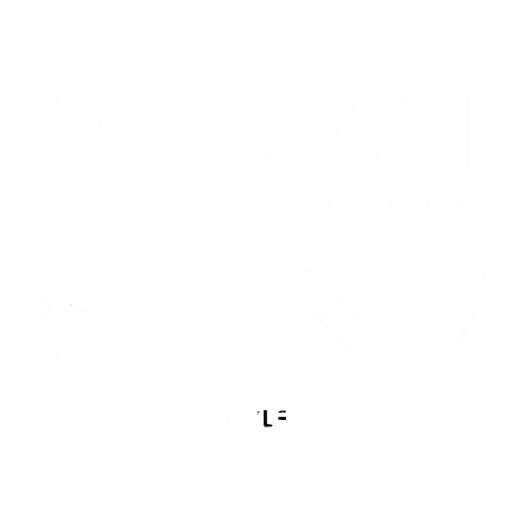 Vidsan Logo